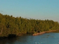 navigation_cheksna_006