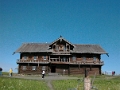 kiji_017