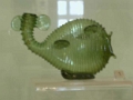 larnaca_pierides_012