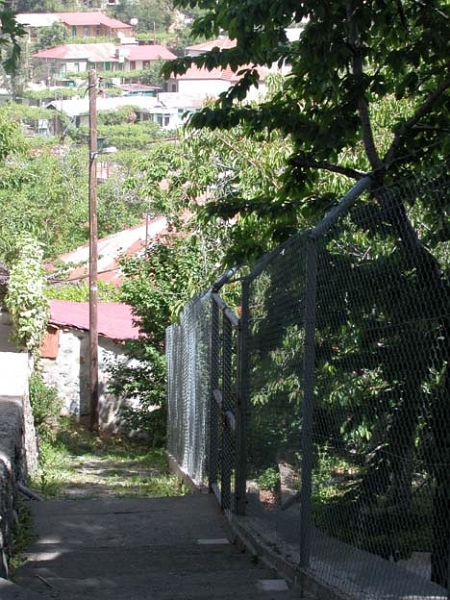 padoulas_006.jpg