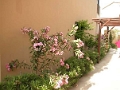 coral_bay_hotel_1_001