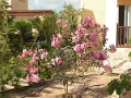 coral_bay_hotel_1_003