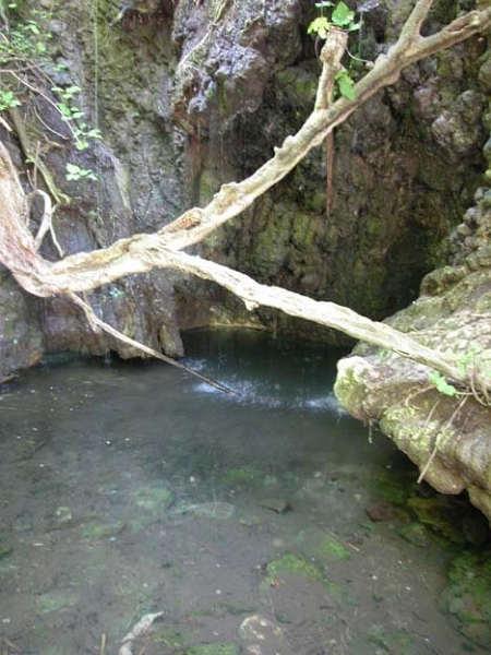 bains_aphrodite_003.jpg