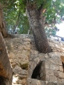 paphos_catacombes_008