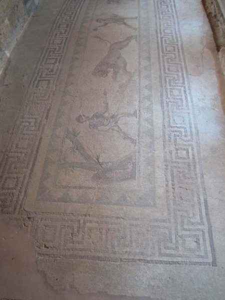paphos_mosaiques_008.jpg