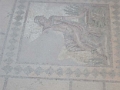 paphos_mosaiques_001