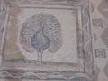 paphos_mosaiques_003