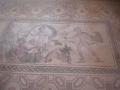 paphos_mosaiques_007