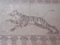 paphos_mosaiques_010