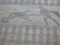 paphos_mosaiques_011