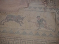 paphos_mosaiques_012