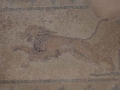 paphos_mosaiques_013
