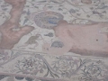 paphos_mosaiques_015