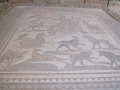 paphos_mosaiques_026