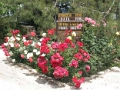 monastere_moni_015