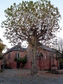 Collonge_033