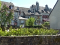 001-salers_015