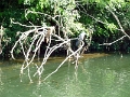 021-albi-croisiere_tarn_032
