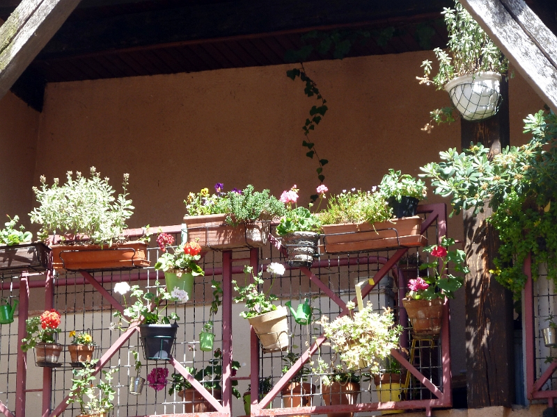 023-albi-vieille_ville_025.jpg