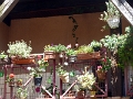 023-albi-vieille_ville_025