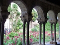 023-albi-vieille_ville_077