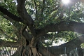 01_buenos_aires_041