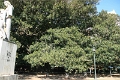 01_buenos_aires_042