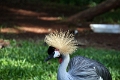 05_voliere_017