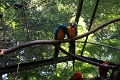 05_voliere_024