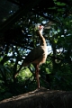 05_voliere_027