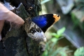 05_voliere_047