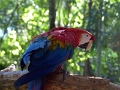 05_voliere_059