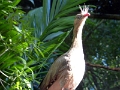 05_voliere_065