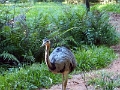 05_voliere_072