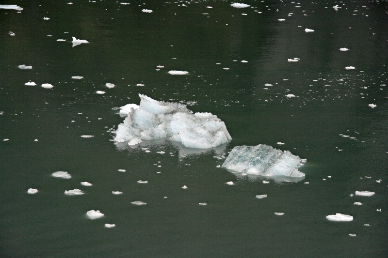 08_glacier_gaeibaldi_007.jpg