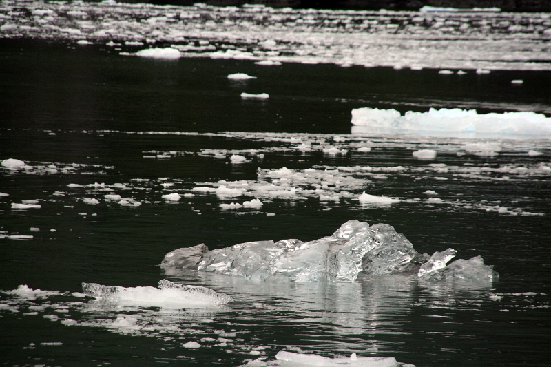 08_glacier_gaeibaldi_047.jpg