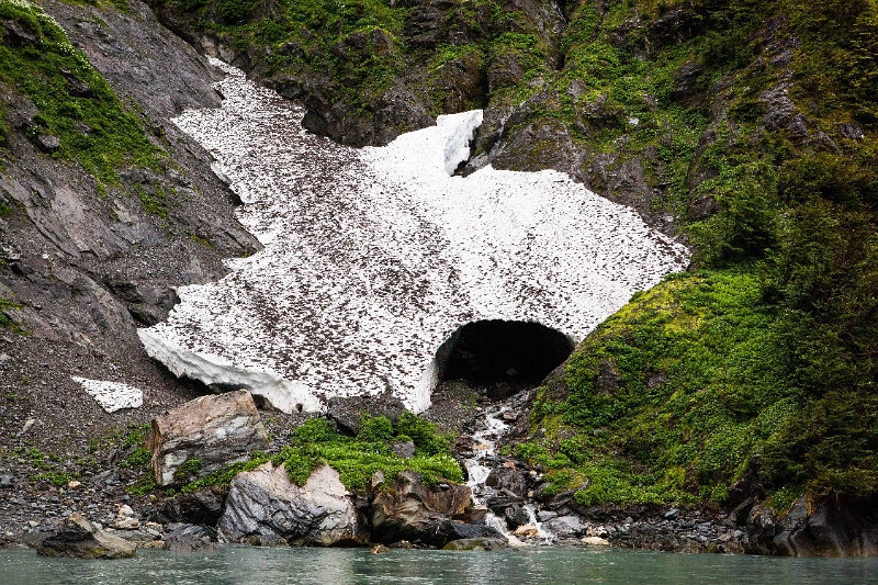 08_glacier_gaeibaldi_065.jpg