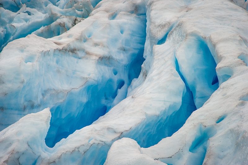 08_glacier_gaeibaldi_078.jpg
