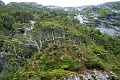 08_glacier_gaeibaldi_012