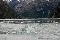 08_glacier_gaeibaldi_046