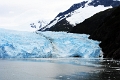 08_glacier_gaeibaldi_053