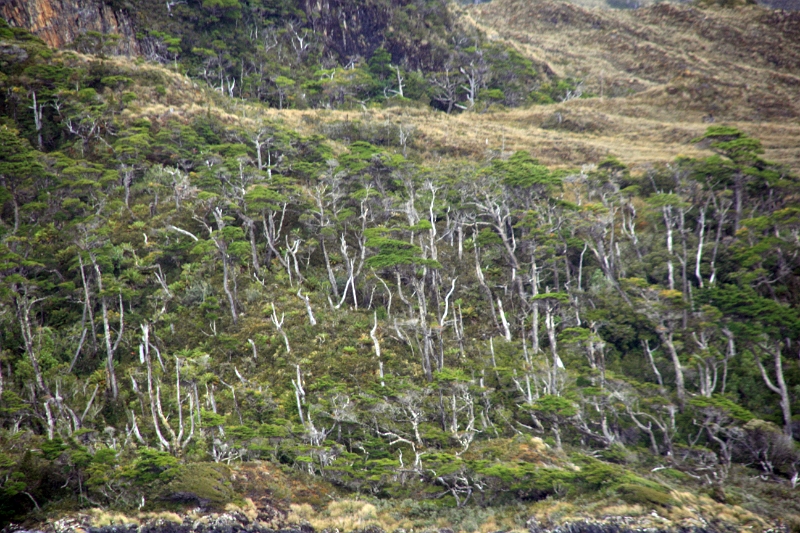 10_canaux_chiliens_016.jpg