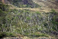 10_canaux_chiliens_016