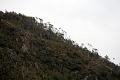 10_canaux_chiliens_019