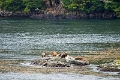 10_canaux_chiliens_213