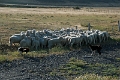 11_torres_del_paine_006