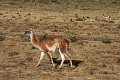11_torres_del_paine_021
