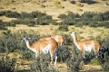 11_torres_del_paine_025
