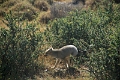 11_torres_del_paine_050