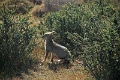 11_torres_del_paine_052